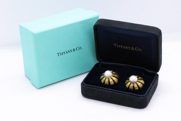 TIFFANY & CO. JEAN SCHLUMBERGER 18 KT ENAMEL EARRINGS WITH PEARLS