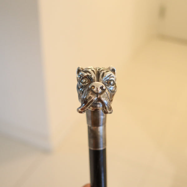 EDWARDIAN 1900 Dog Shaped Cane In Ebonized Black Wood & Sterling Silver