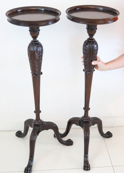 ENGLAND 1890 Victorian Continental Pair Of Pedestals Carved In Mahogany Wood