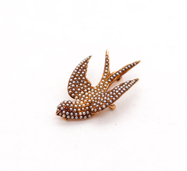 -Victorian 1880 Flying Dove Brooch In 14Kt Yellow Gold With Pearls And Ruby