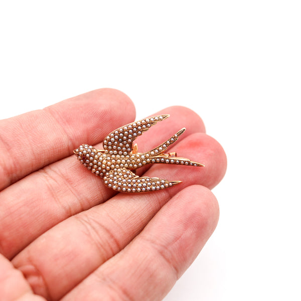 -Victorian 1880 Flying Dove Brooch In 14Kt Yellow Gold With Pearls And Ruby