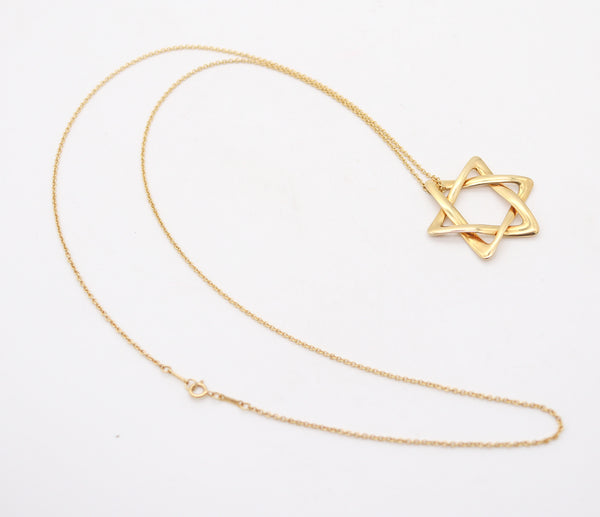 TIFFANY & CO 1979 Elsa Peretti Large David's Star Long Necklace in 18Kt Yellow Gold