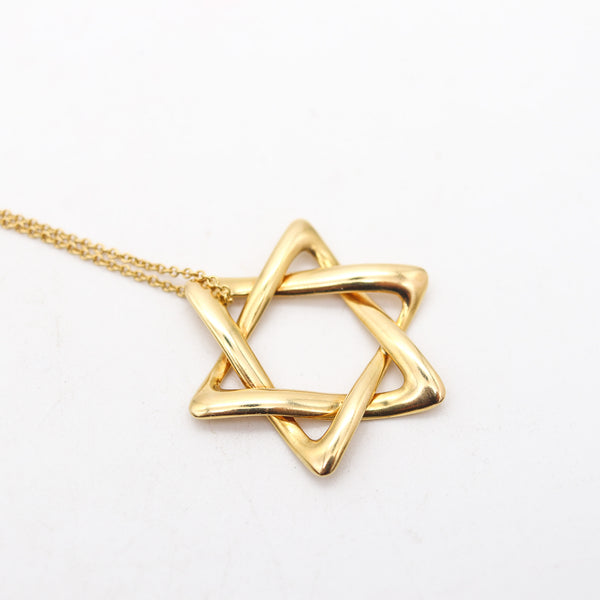 TIFFANY & CO 1979 Elsa Peretti Large David's Star Long Necklace in 18Kt Yellow Gold