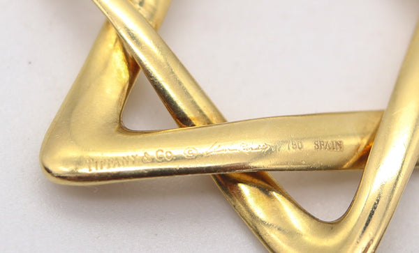 TIFFANY & CO 1979 Elsa Peretti Large David's Star Long Necklace in 18Kt Yellow Gold