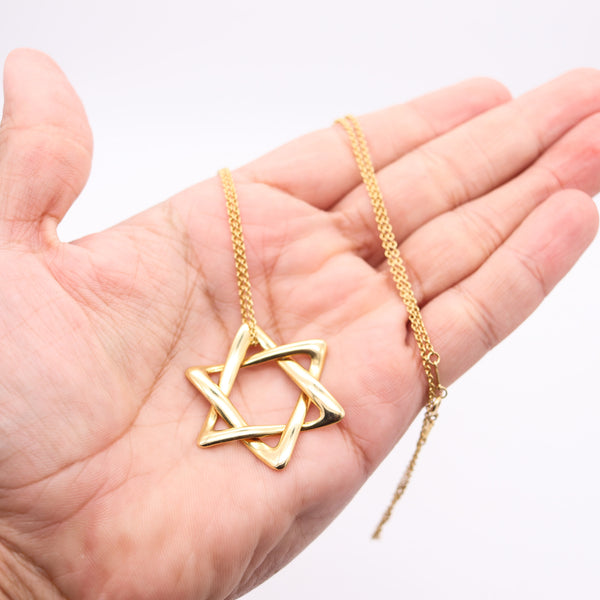 TIFFANY & CO 1979 Elsa Peretti Large David's Star Long Necklace in 18Kt Yellow Gold