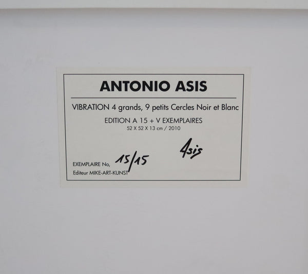 ANTONIO ASIS Paris 2010 "Vibration 4 Grands 9 Petits" Op-Art Wall Sculpture