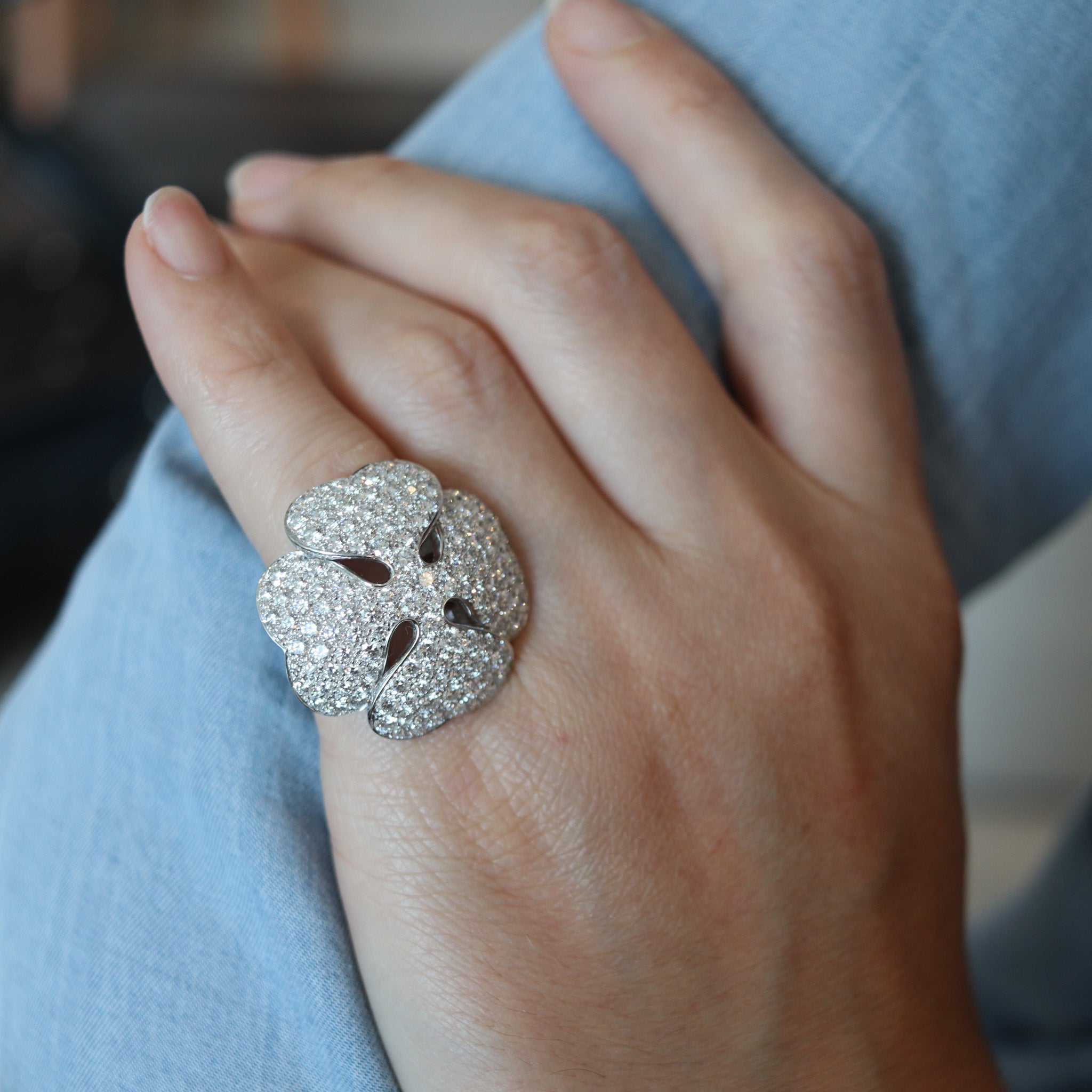 IMG_7517_2048x.jpg?v=1719688912