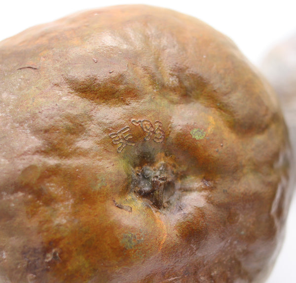 DONALD L. REED 1993 Suite Of Real Size Vegetables & Fruits In Polychromate Bronze