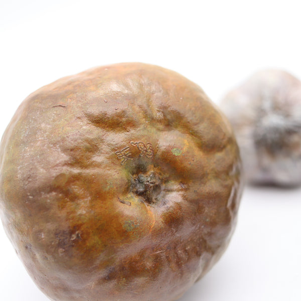 DONALD L. REED 1993 Suite Of Real Size Vegetables & Fruits In Polychromate Bronze