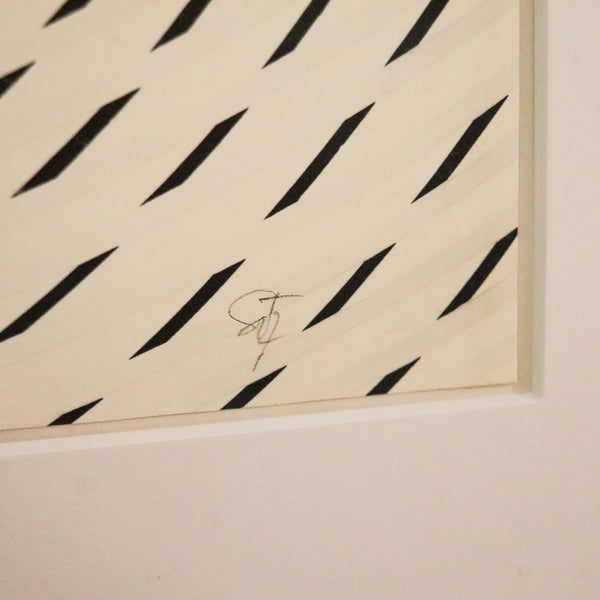 JESUS SOTO 1977 Sotomagie La Huella Silkscreen Print On Paper UV Framed