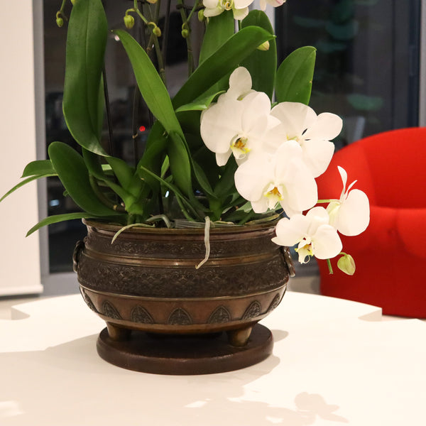 MEIJI 1868 Imperial Japan Round Hibachi Vase In Bronze With Carved Wood Base