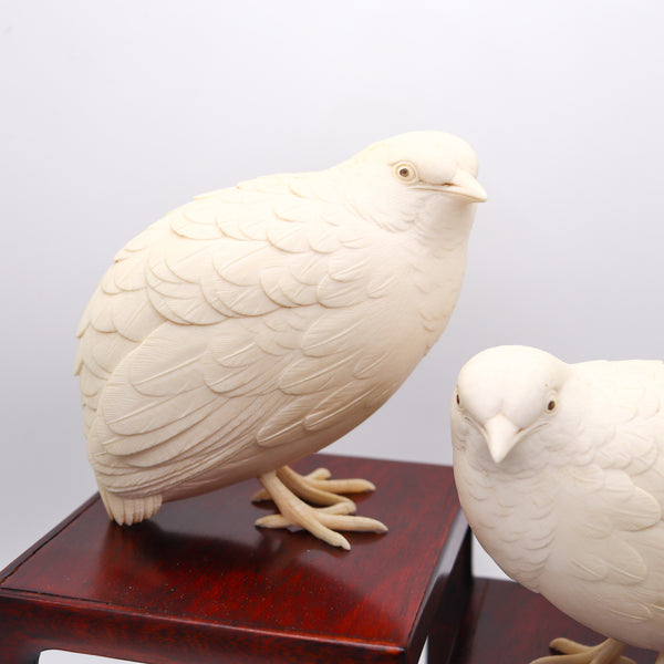 MEIJI 1890 Presentation Okimono Carved Pigeons In Wood Base Signed By The Artist