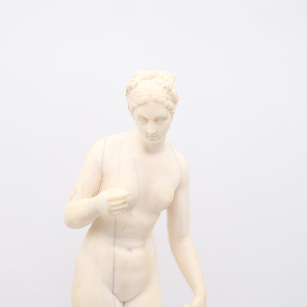 CONTINENTAL 19th Century Antique Carved Sculpture Of Standing Naked Venus