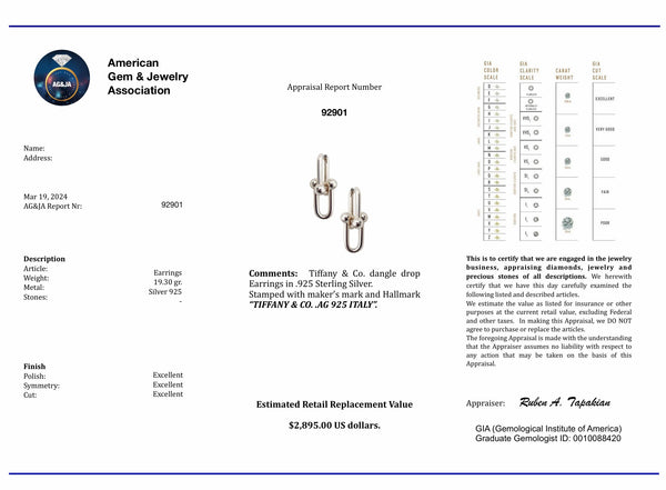 TIFFANY & CO. Modern Hardware Dangles Drops Earrings In .925 Sterling Silver