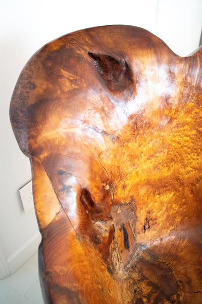 +Continental Mid-Century 1960 Massive Sculptural Chair Carved In Precious Burl Wood