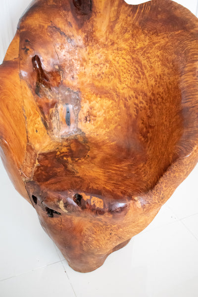 +Continental Mid-Century 1960 Massive Sculptural Chair Carved In Precious Burl Wood