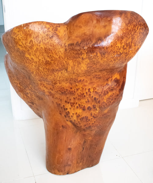 +Continental Mid-Century 1960 Massive Sculptural Chair Carved In Precious Burl Wood